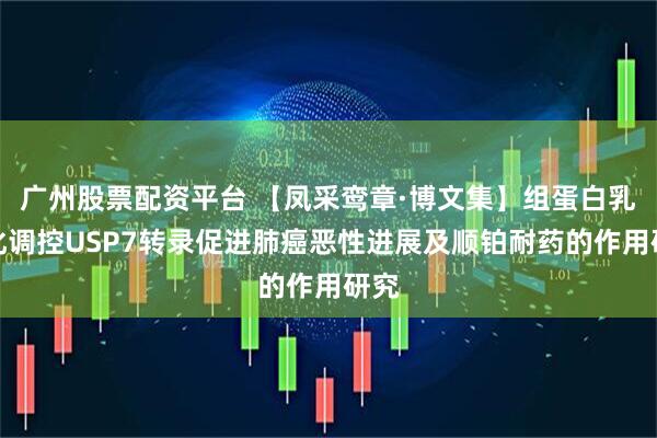 广州股票配资平台 【凤采鸾章·博文集】组蛋白乳酸化调控USP7转录促进肺癌恶性进展及顺铂耐药的作用研究